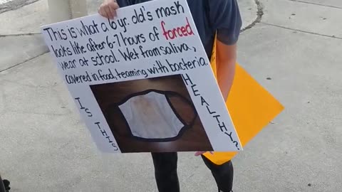 Sarah Damauro Explains How to Speak to Call Mask Mandate Protesters "Grandma Killers" 8/24/2021