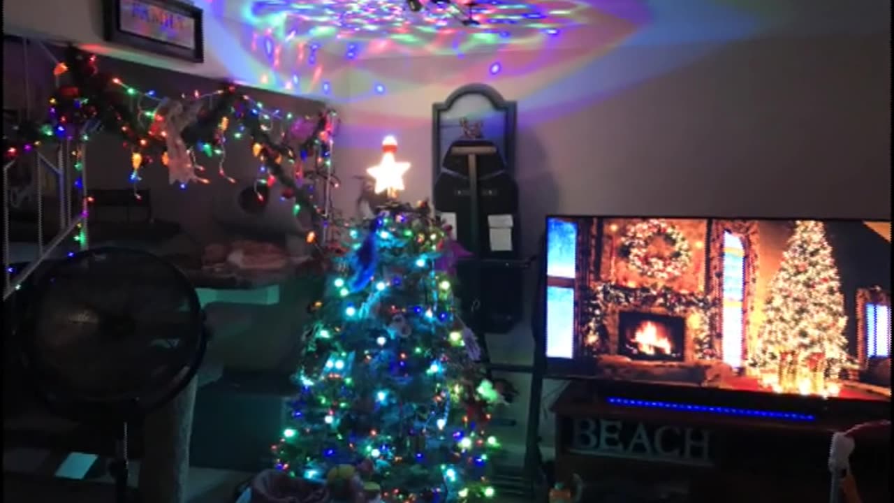 All I Want For Christmas Is You