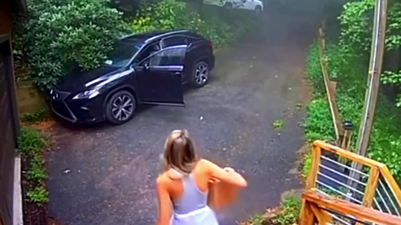 Wild Bear Climbs Into Woman's Car and Refuses to Leave