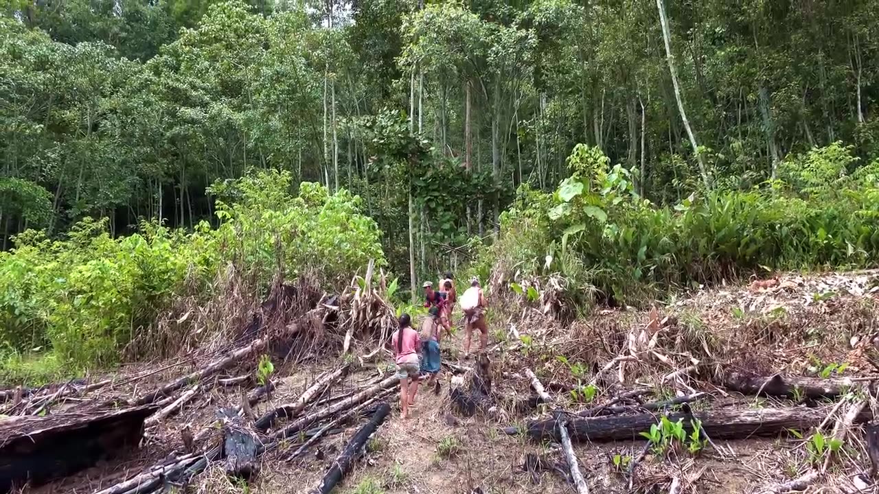 Borneo Death Blow - Full Documentary