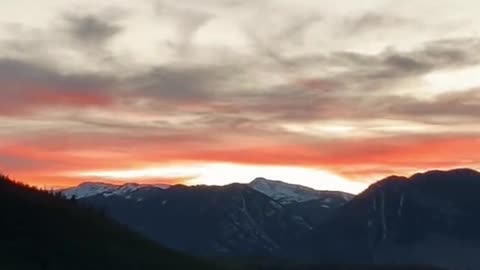 🔴 Relaxing Music 24/7, Sleep Music, Stress Relief Music, Spa, Meditation, Yoga, Zen, Sleeping Music