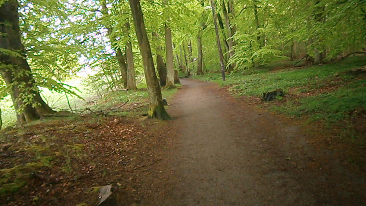 Pålsjö skog, Helsingborg 8 Maj 2014