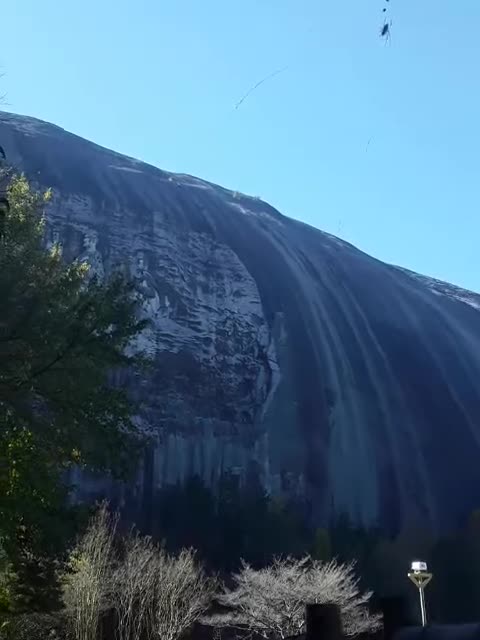 Southern Creepy Crawlers at Stone Mountain