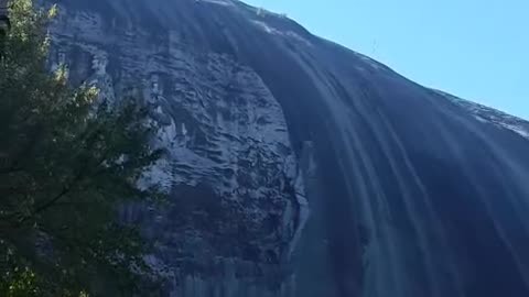 Southern Creepy Crawlers at Stone Mountain