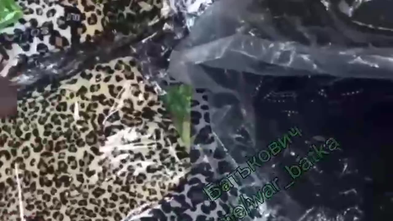 Someone Is Trolling The Ukrainian With Leopard Gear For Leopard Tanks😂