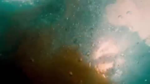 The Most INSANE Shark Attacks MARATHON!