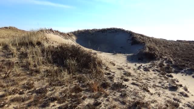 Sand Dunes