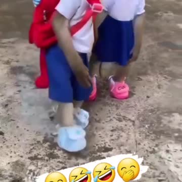 Funny fun video of monkeys