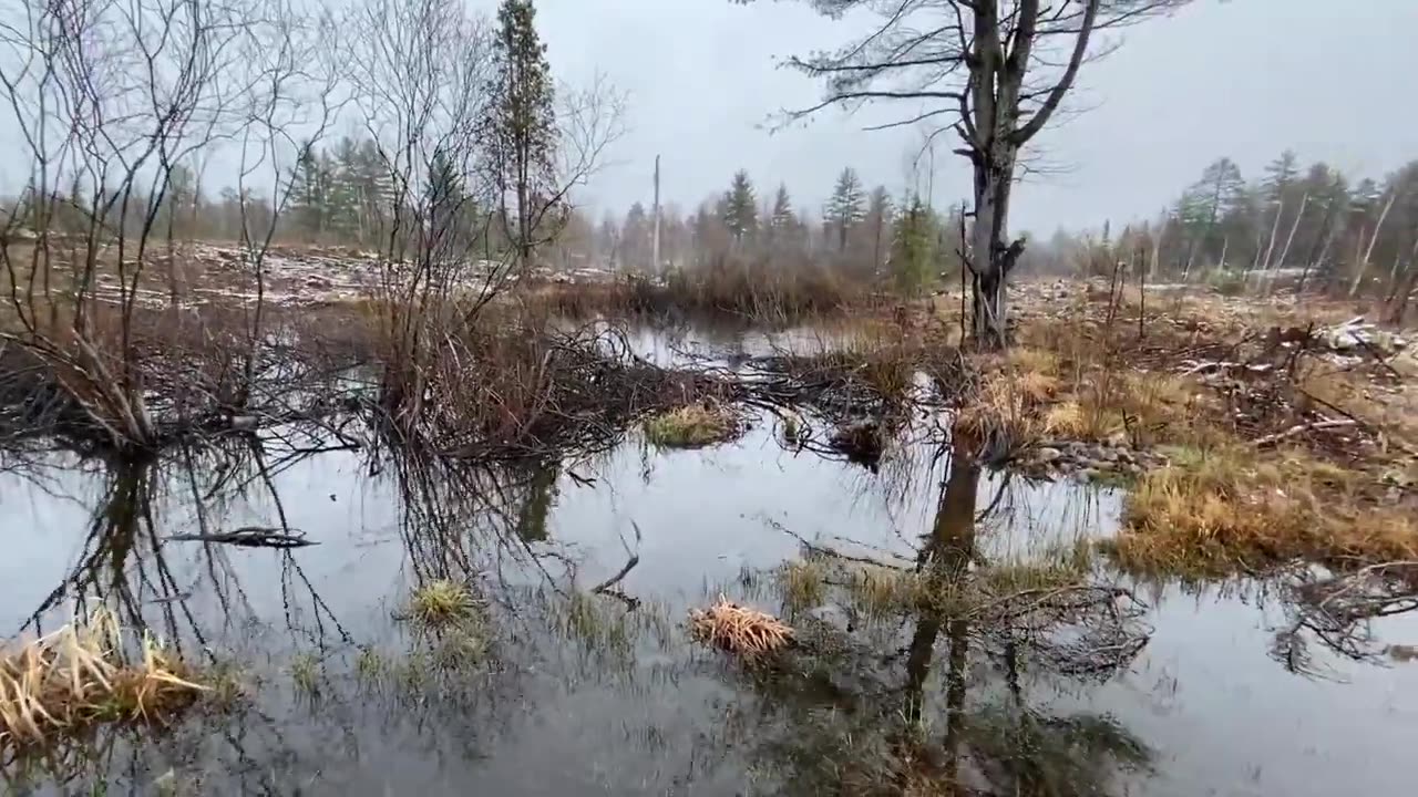 My First Look at The Guns N Glory Property
