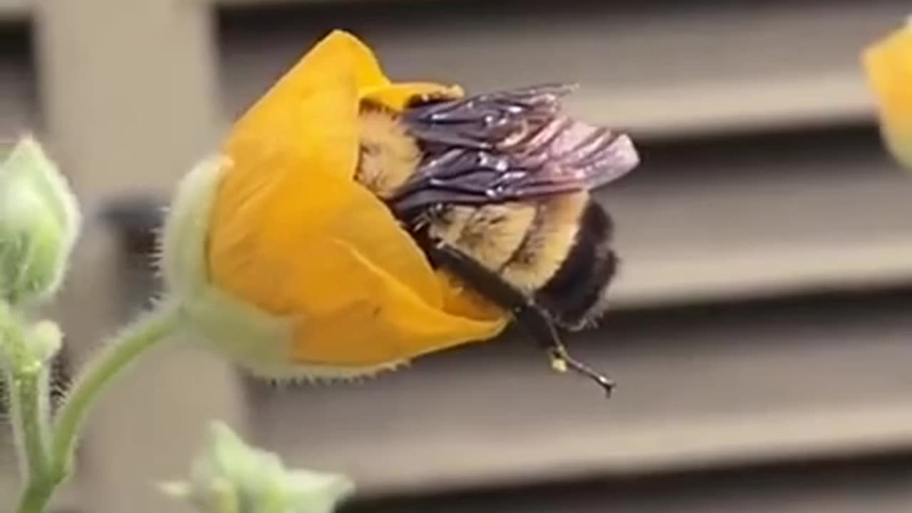 Sleeping on the job 😊😍