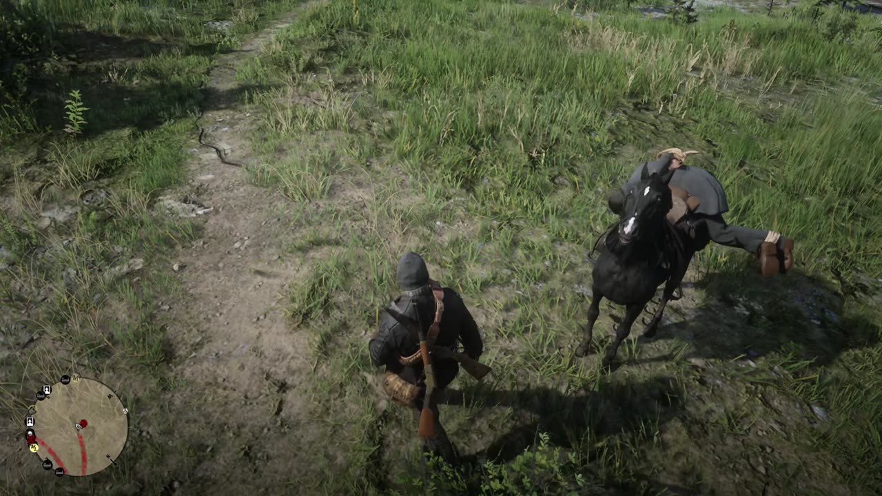 Red Dead Redemption 2 crazy