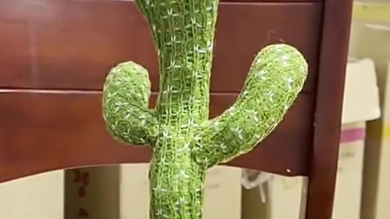 Dancing Singing with Lighting Recording Repeating What You Say Cactus Toy