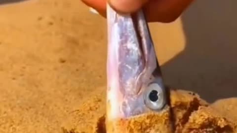 Fish Tales: Short, Sweet, and Totally Viral! (fishing shorts)