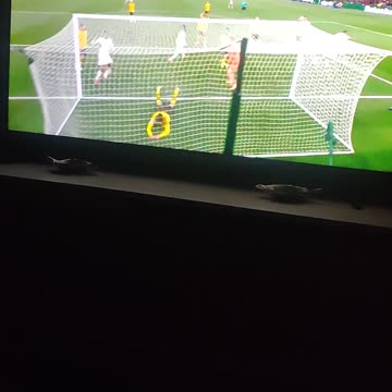 Madrid campeón de europa//hala Madrid