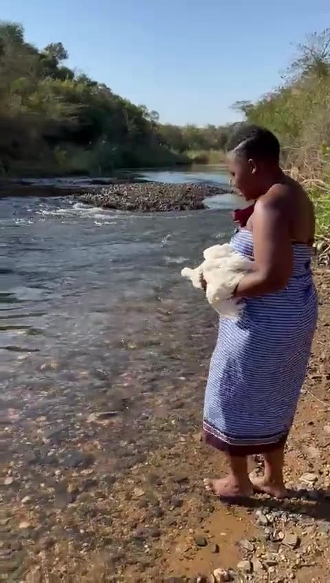 Animal abuser (apparently a member of S. Africa's Parliament) should be found, brought to justice