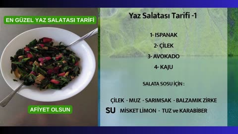 EN GÜZEL YAZ SALATASI TARİFİ