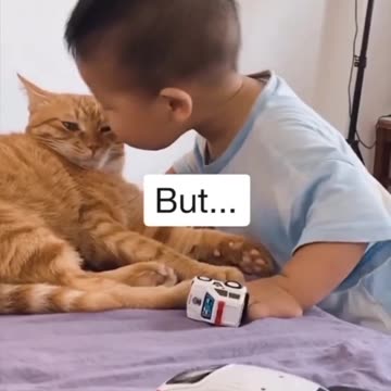 Cute cat or sad cat !!!