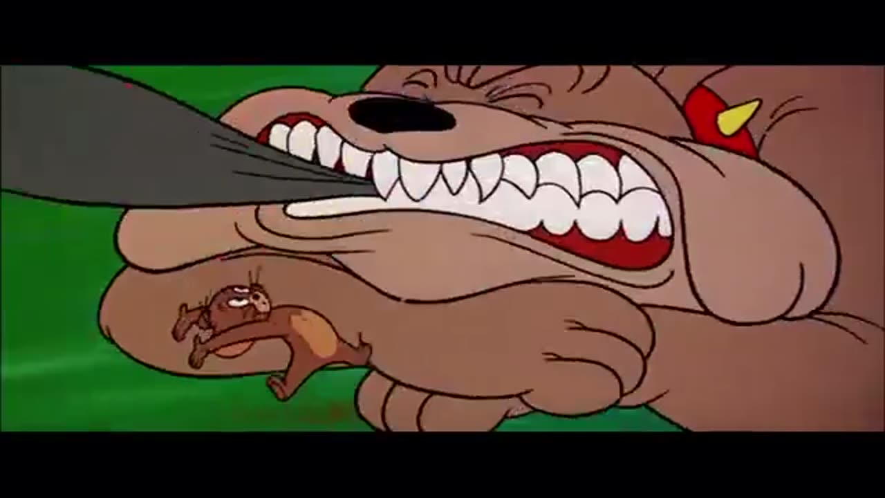 Tom & Jerry | Tom & Jerry in Full Screen | Classic Cartoon Compilation | WB Kids