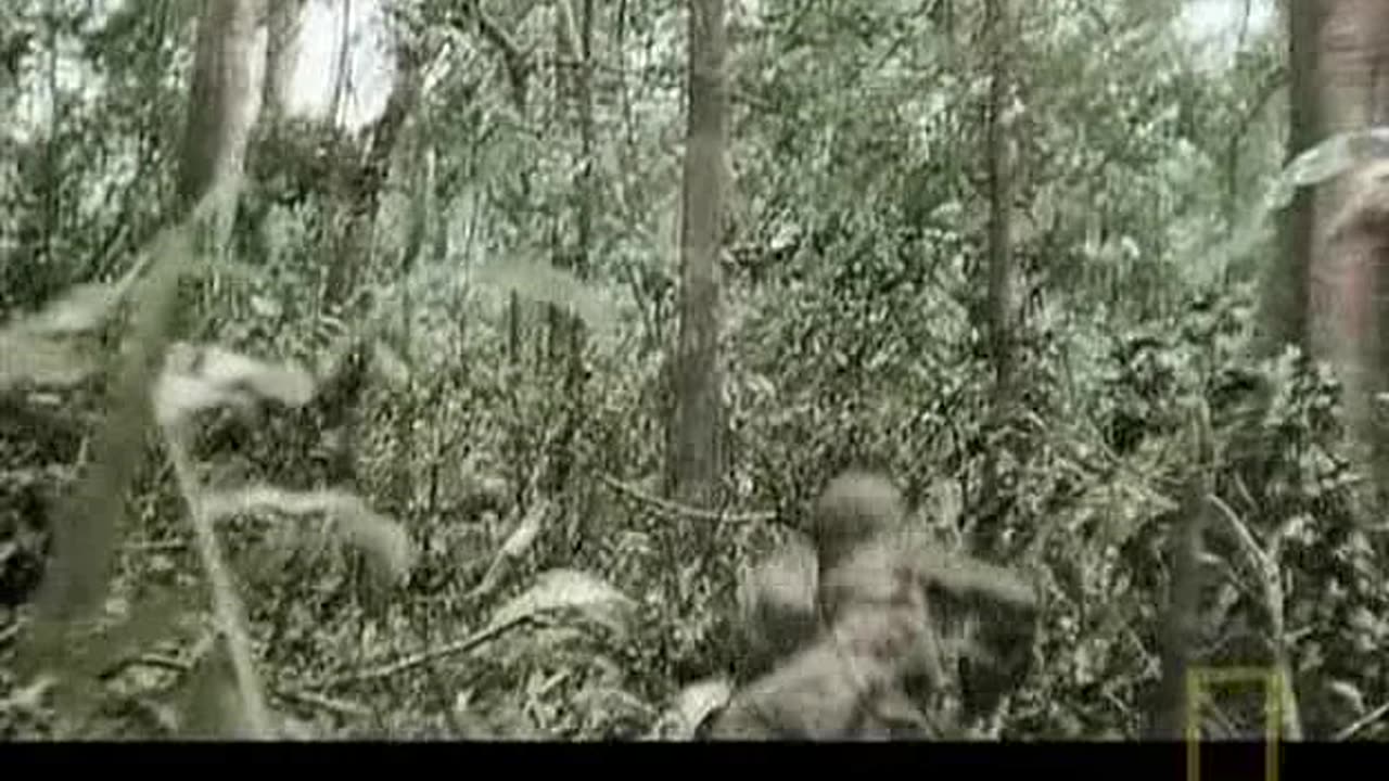 Apocalypse-The Second World War.2008.4of6.THE WORLD ABLAZE