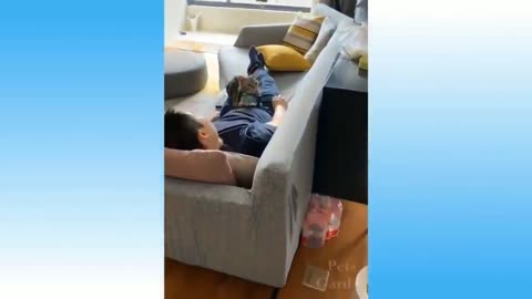 Funny Animals 🐧 - Best Of The 2024 Funny Animal Videos 😁 - Cutest Animals Ever