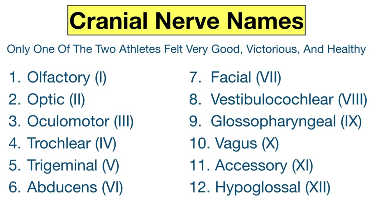 Cranial Nerves MADE EASY_ Mnemonic & Tricks for their Names & Function