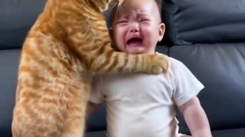 The cat who wants to calm the baby