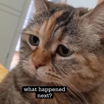 🤣🤣🤣 Too Cute