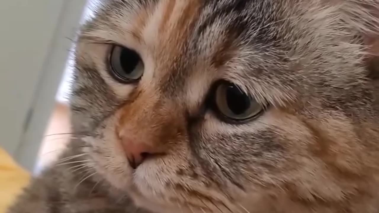 🤣🤣🤣 Too Cute