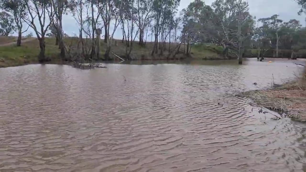 Serpentine Weir - Streamside Reserve