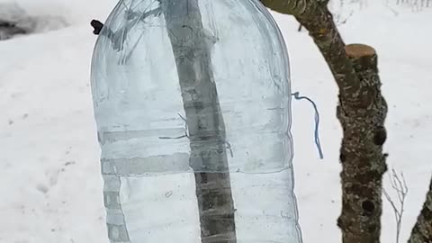Reuse - Repurpose - UPCYCLE