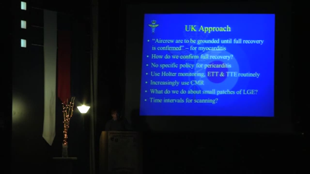 2013 Presentation from NATO Science about myocarditis