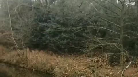 Burtoo ufo abduction case 1983