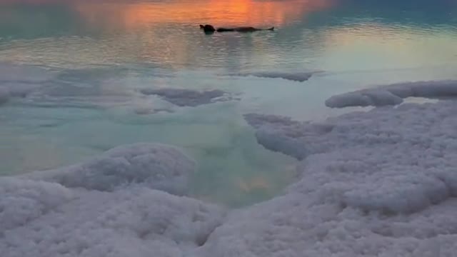 Floating in the Dead Sea at sunset, what a perfect end to a day