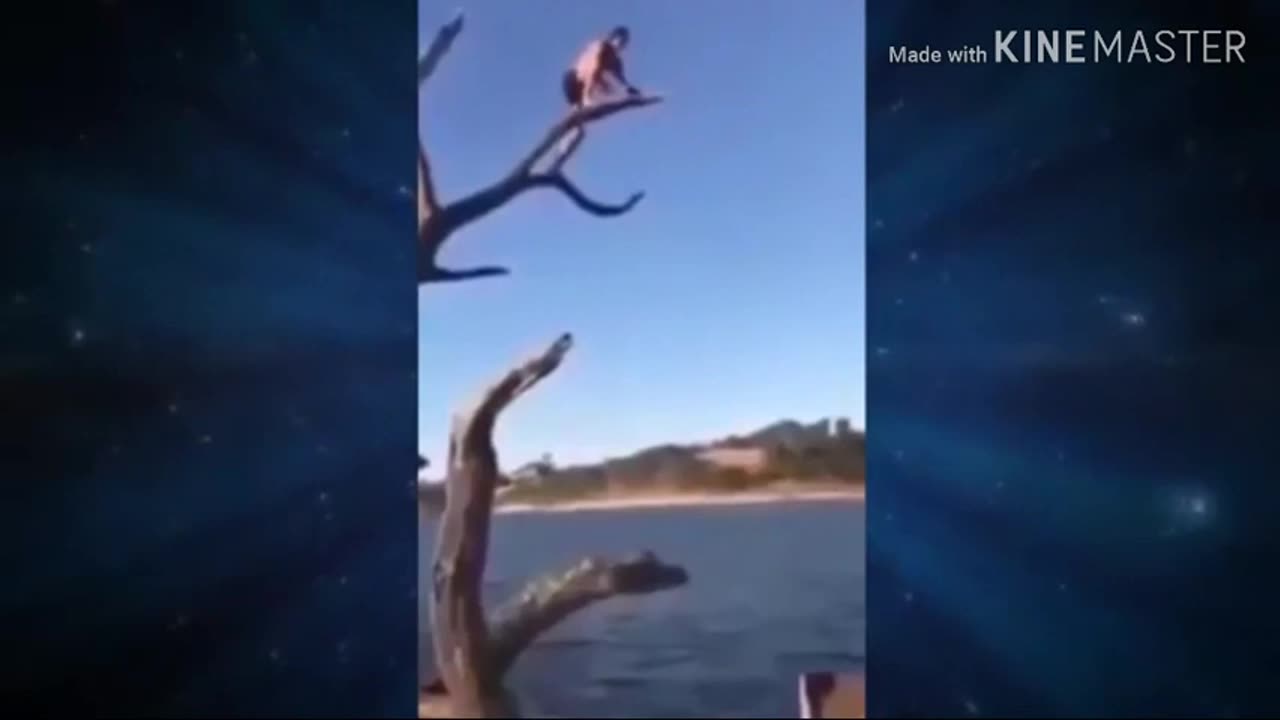 Funny Video