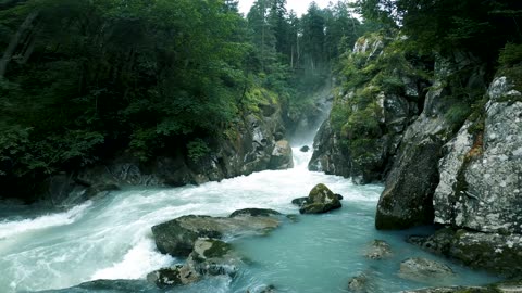 water sound nature forest