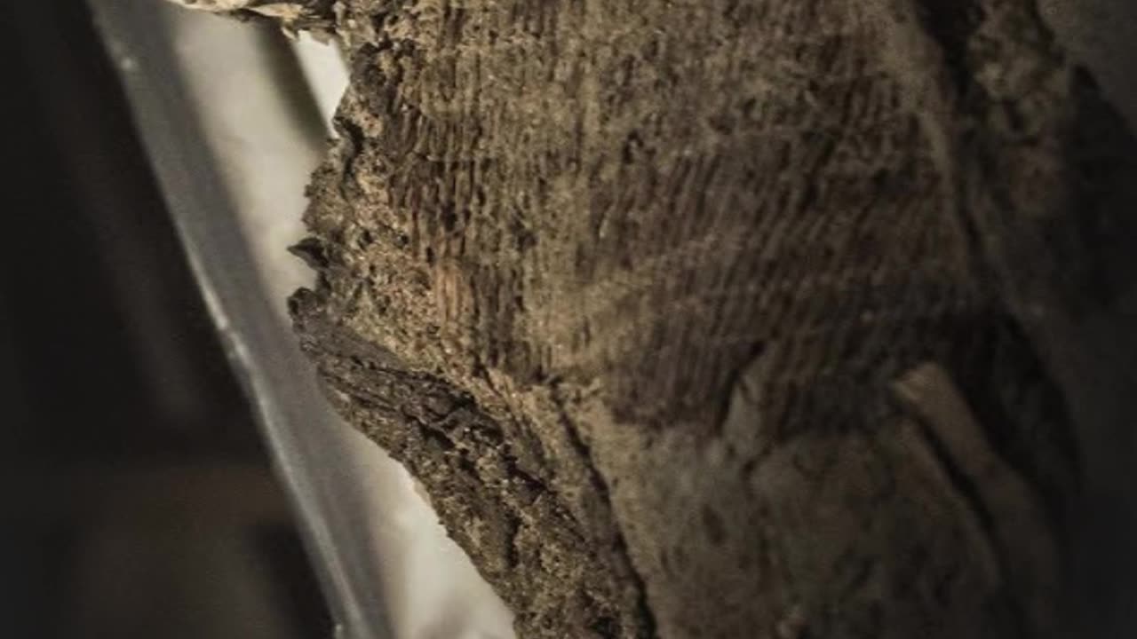 Fascinating Mummified Bodies Found Outside Egypt #short