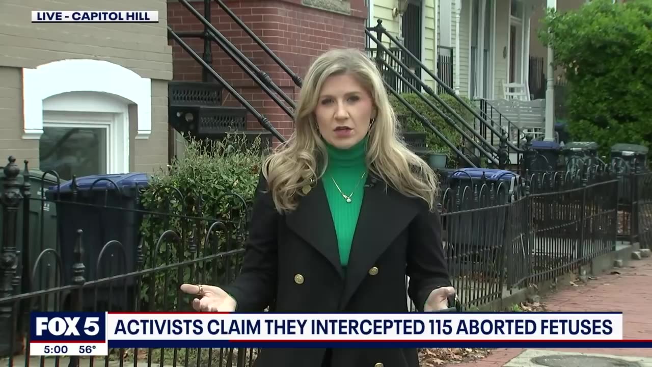 115 aborted fetuses allegedly intercepted by anti-abortion activists