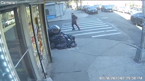 Violence in the Bronx