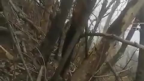 Orc Footage 3