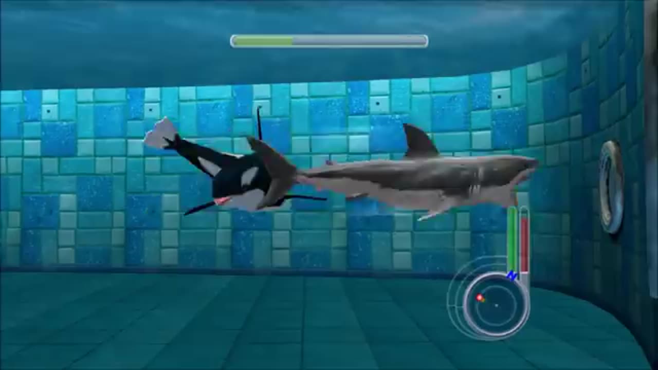 Jaws Unleashed - Great White Shark vs Killer Whale