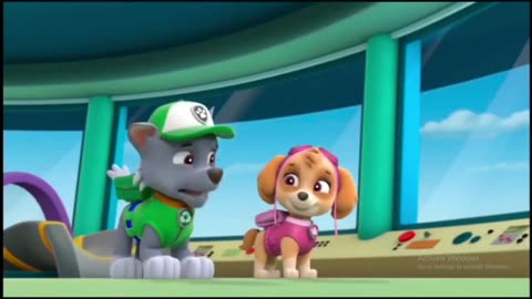 paw patrol