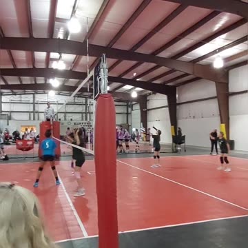 Volleyball Day