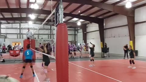 Volleyball Day