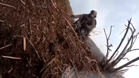 One more. Ukraine soldiers killed