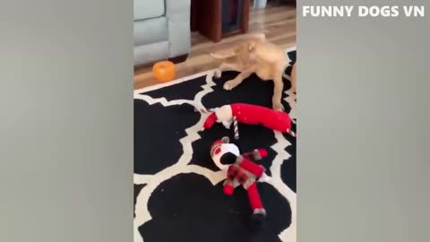 The Ultimate Collection of Funny Dogs & Cats: Hilarious Animal Compilation - Try Not to Laugh