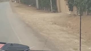 Ecuador Trip part 1