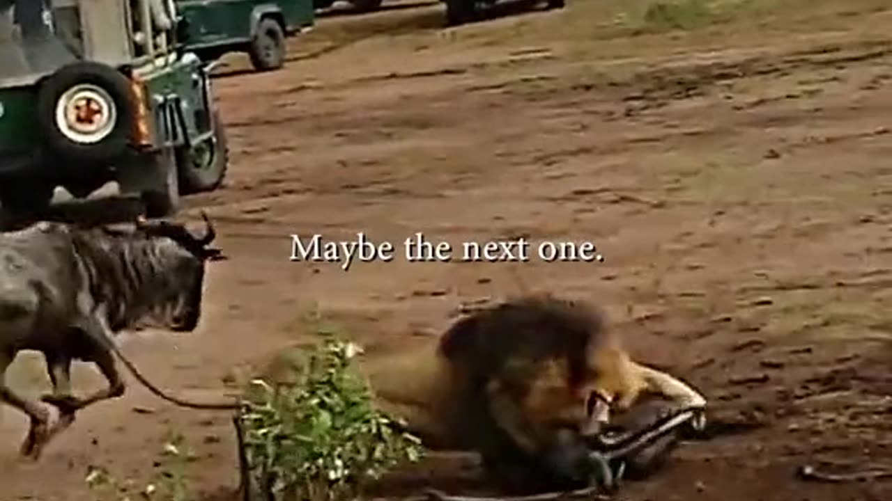 What are you waiting for to take your shot??