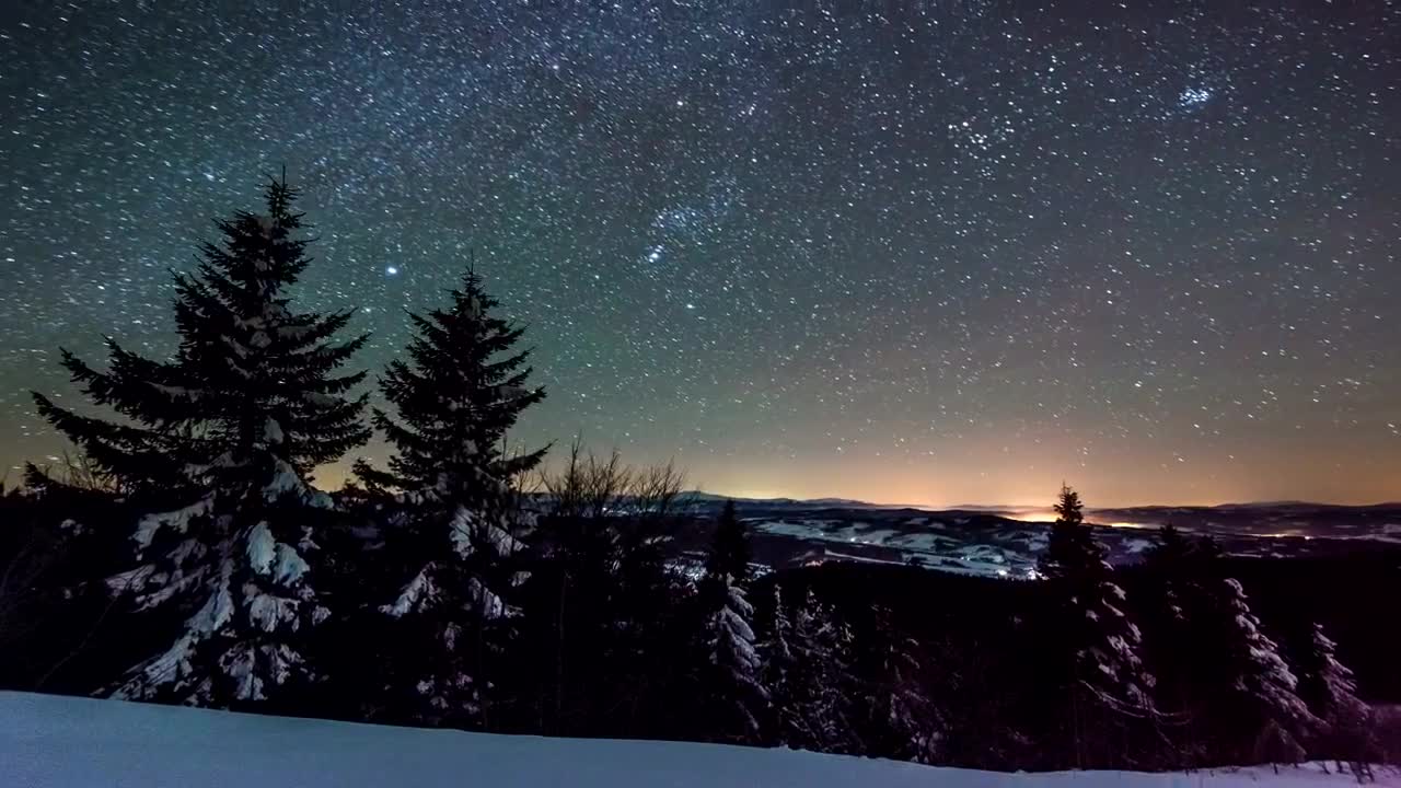 starry night in the forest in winter Winter Forest Copyright Free Video Royalty Free Stock Video