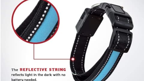 LED Dog Collar