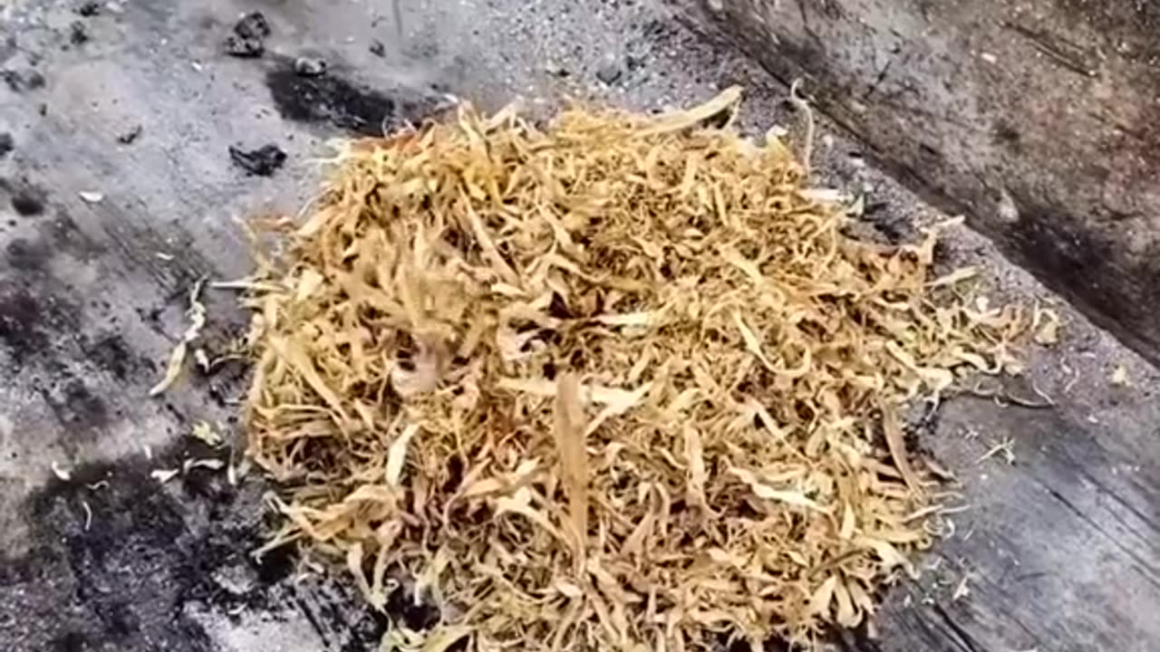 Рецеп смачного шашлика